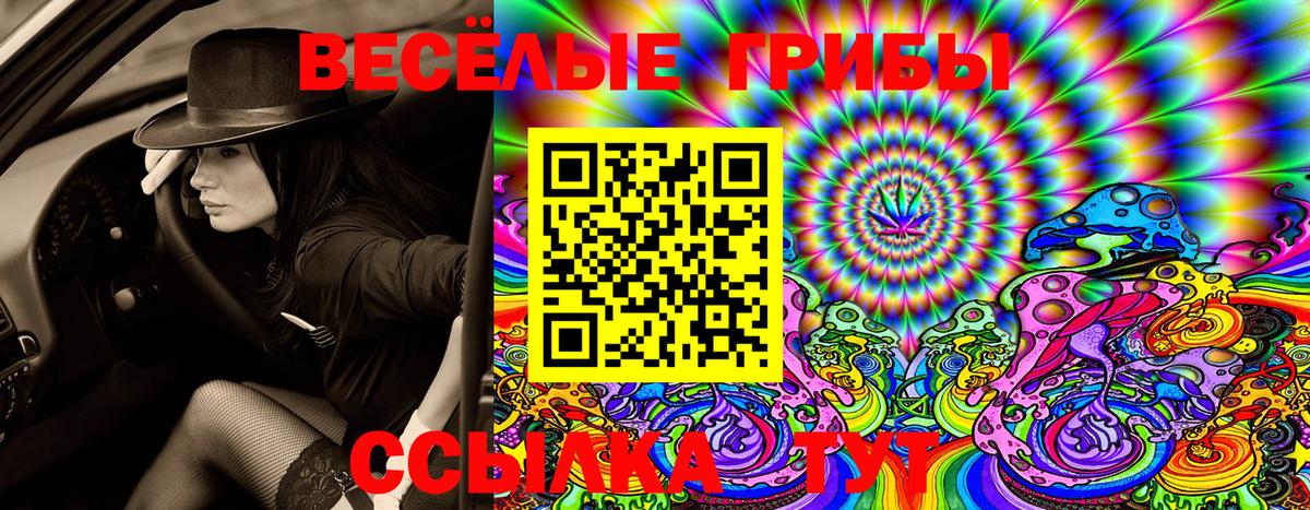 Галлюциногенные грибы Magic Shrooms  купить  цена  Галлюциногенные грибы MAGIC MUSHROOMS  Шахты  Вход с VPN 